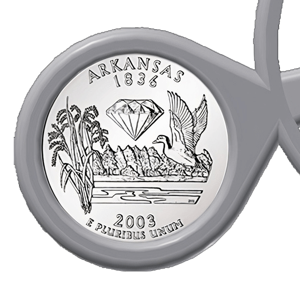 25. Arkansas 2004 State Quarter in Coin Carousel